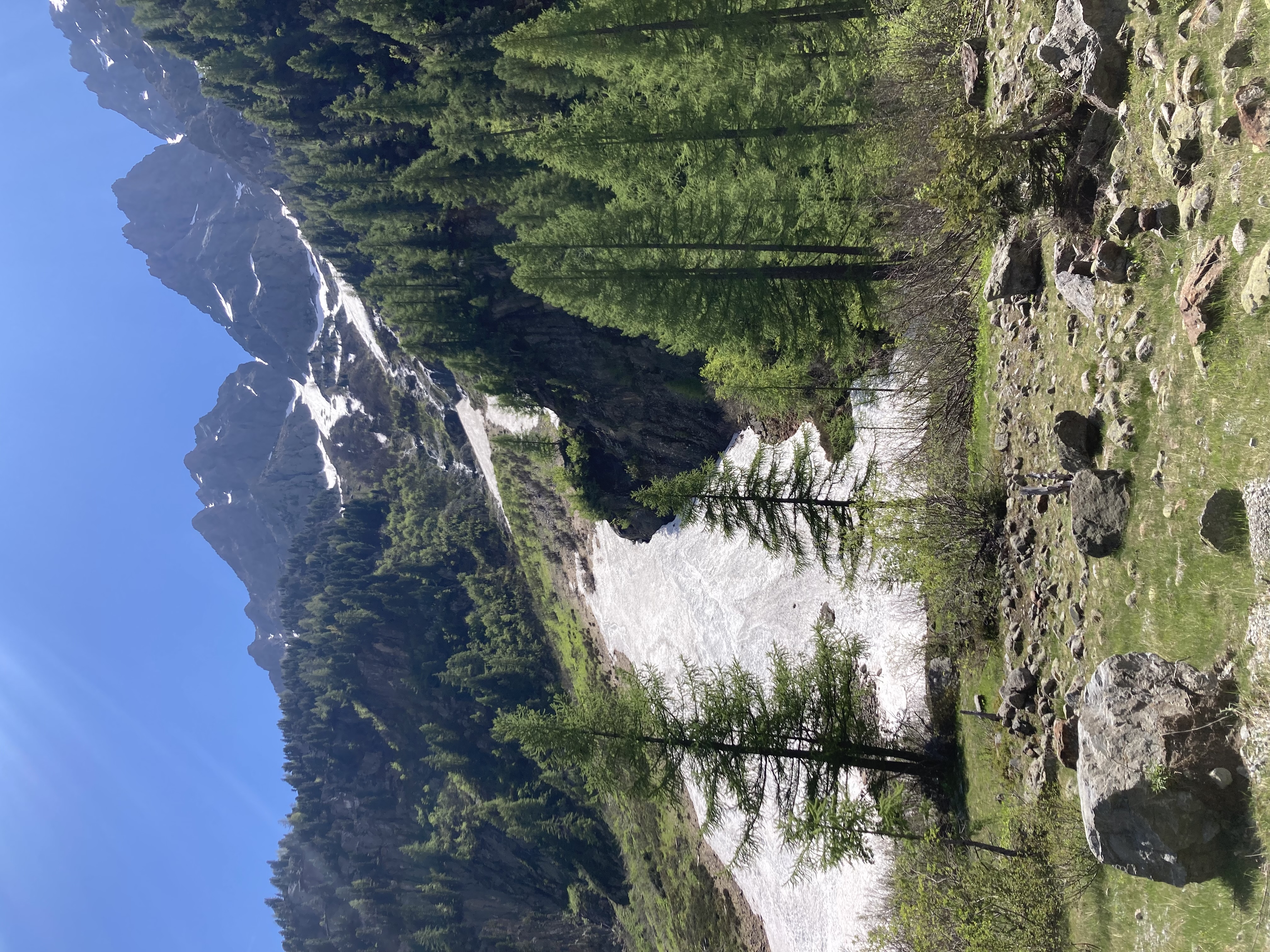 Massif des Alpes : où observer la faune et la flore