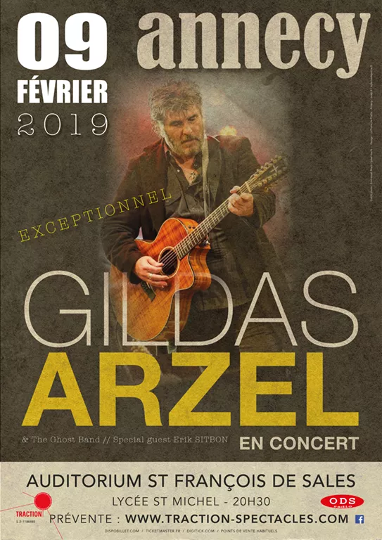 PARTENAIRE - Concert de Gildas Arzel à Annecy