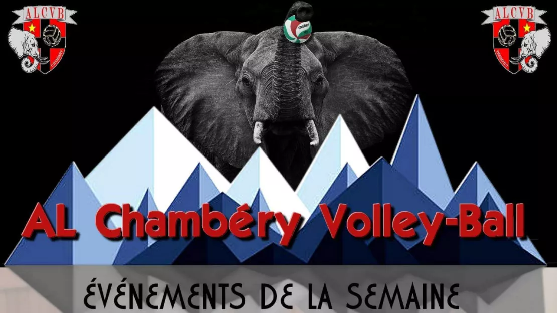 Match de l'Amicale Laïque Chambéry Volley-Ball