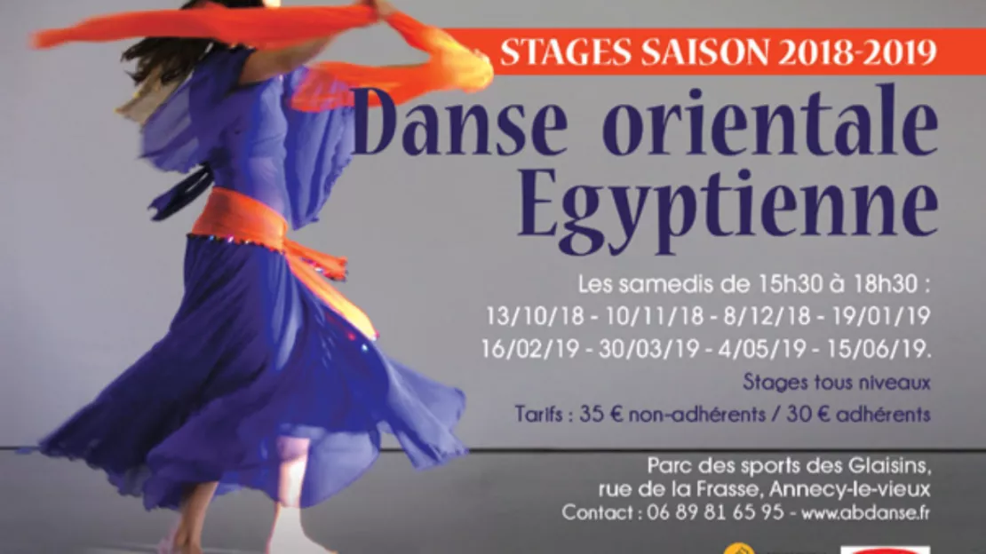 PARTENAIRE- Stage de danse à Annecy-le-Vieux