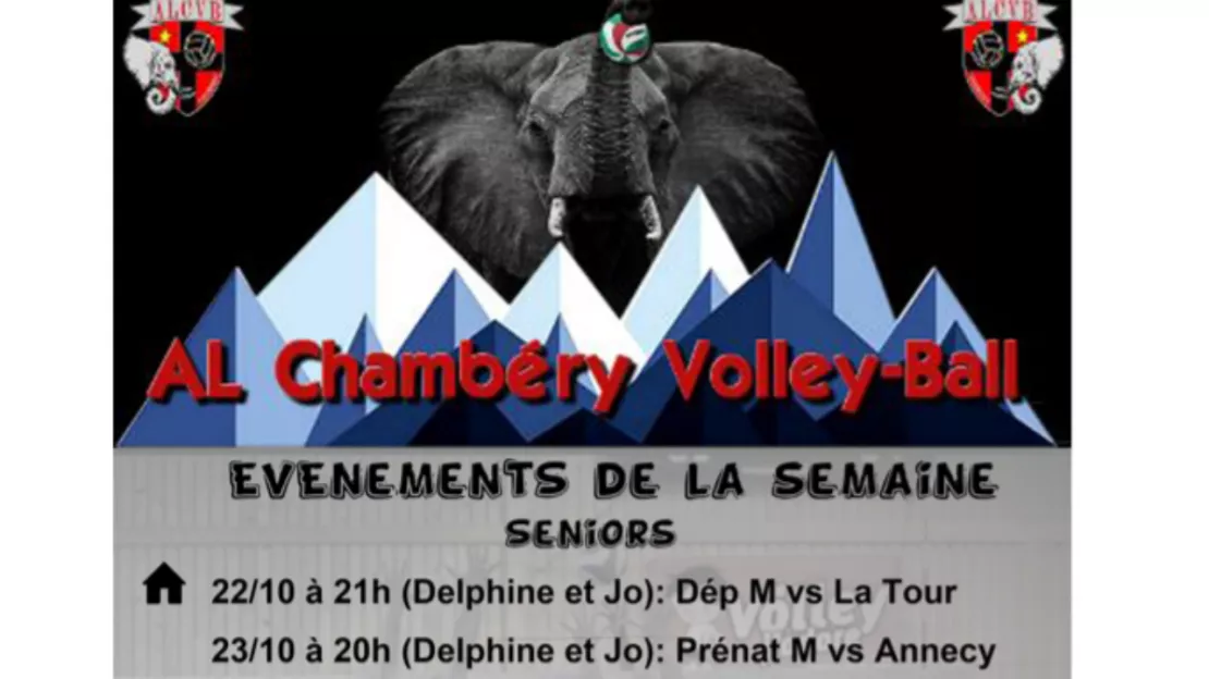 PARTENAIRE - AMICALES LAIQUES CHAMBERY VOLLEY BALL