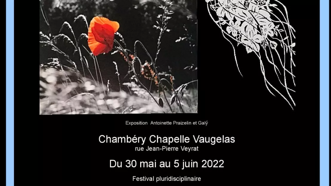 Chambéry - festival "LEZ'ARTS VIFS"