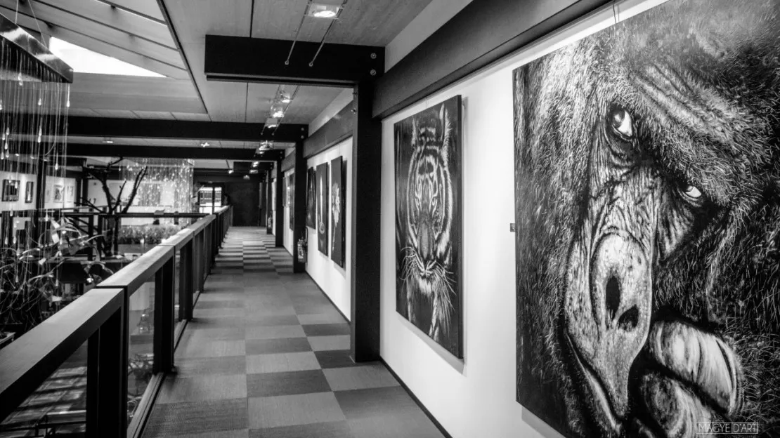 Exposition noir & blanc - Galerie d'Art de l'Espace 55