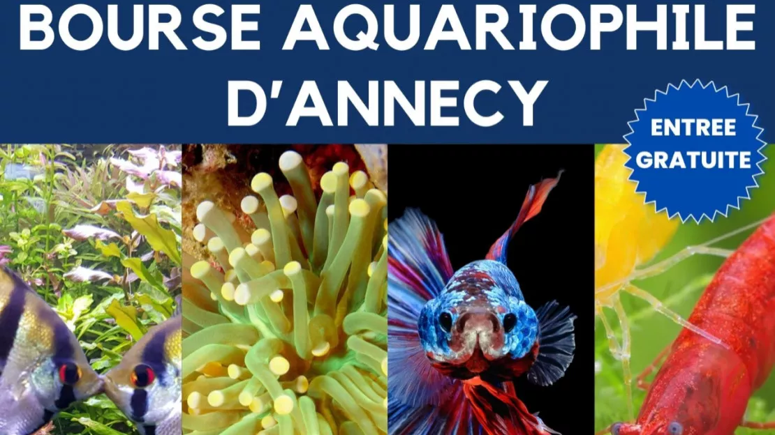 PARTENAIRE - BOURSE AQUARIOPHILE D'ANNECY