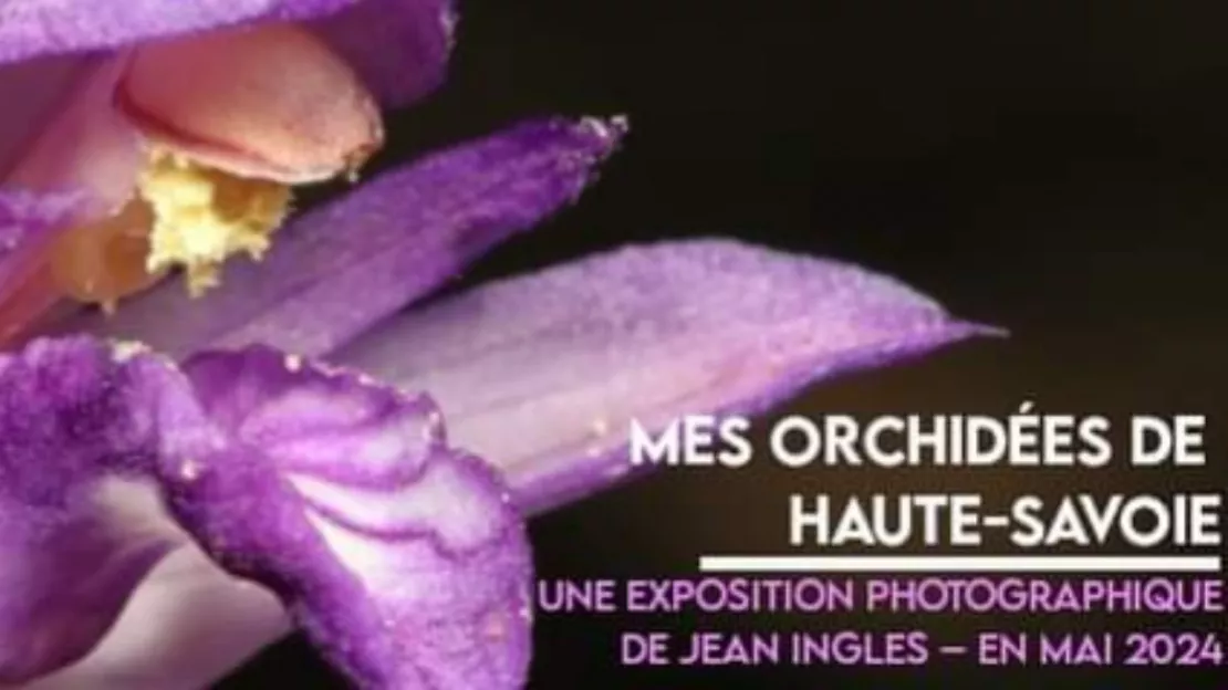 Exposition : mes orchidées de Haute Savoie par Jean Ingles