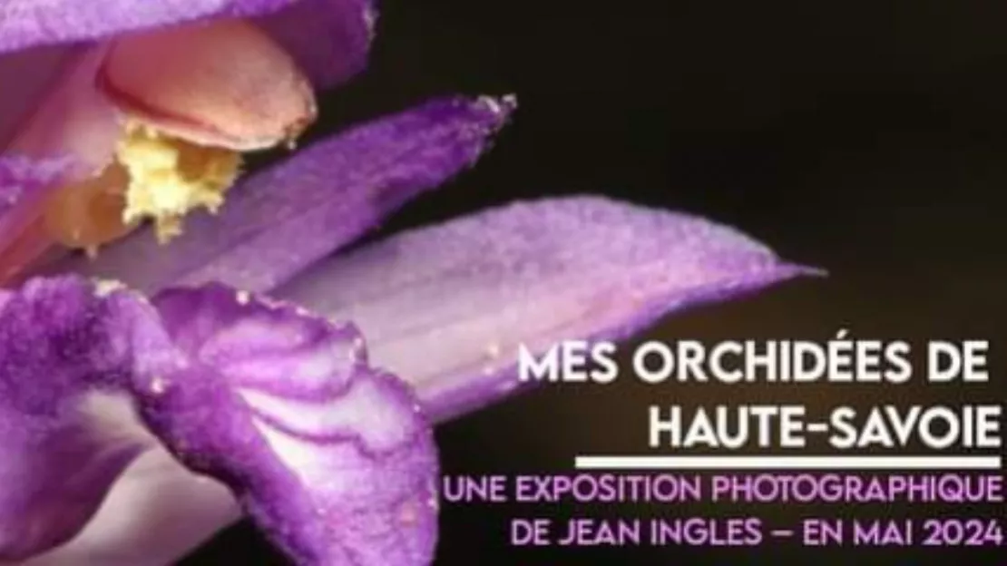 Conférence : mes orchidées de Haute Savoie