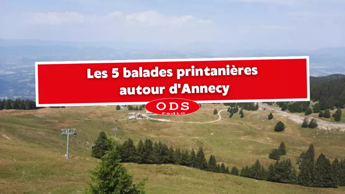 Les 5 balades printanières autour d'Annecy