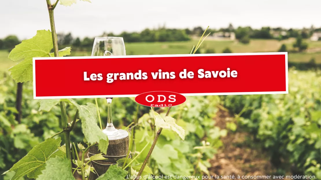 Les grands vins de Savoie