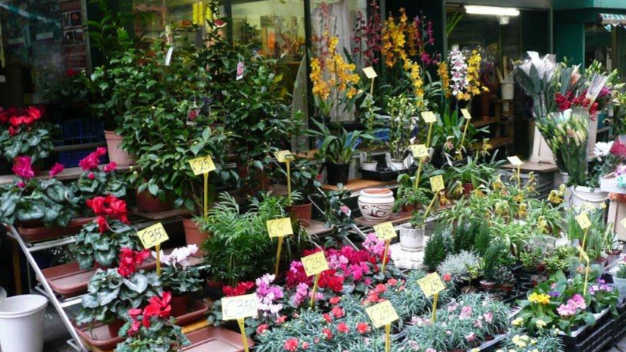 1er mai : « certains vont tenter de faire travailler leurs salariés en espérant ne pas être réprimandés » 1er mai : « certains vont tenter de faire travailler leurs salariés en espérant ne pas être réprimandés »