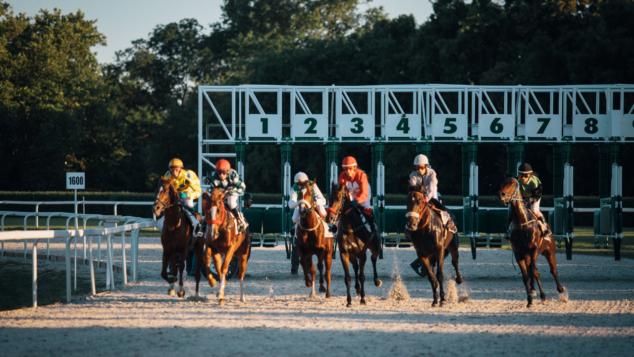 Aix-les-Bains : l'hippodrome dit adieu aux obstacles et mise tout sur le plat