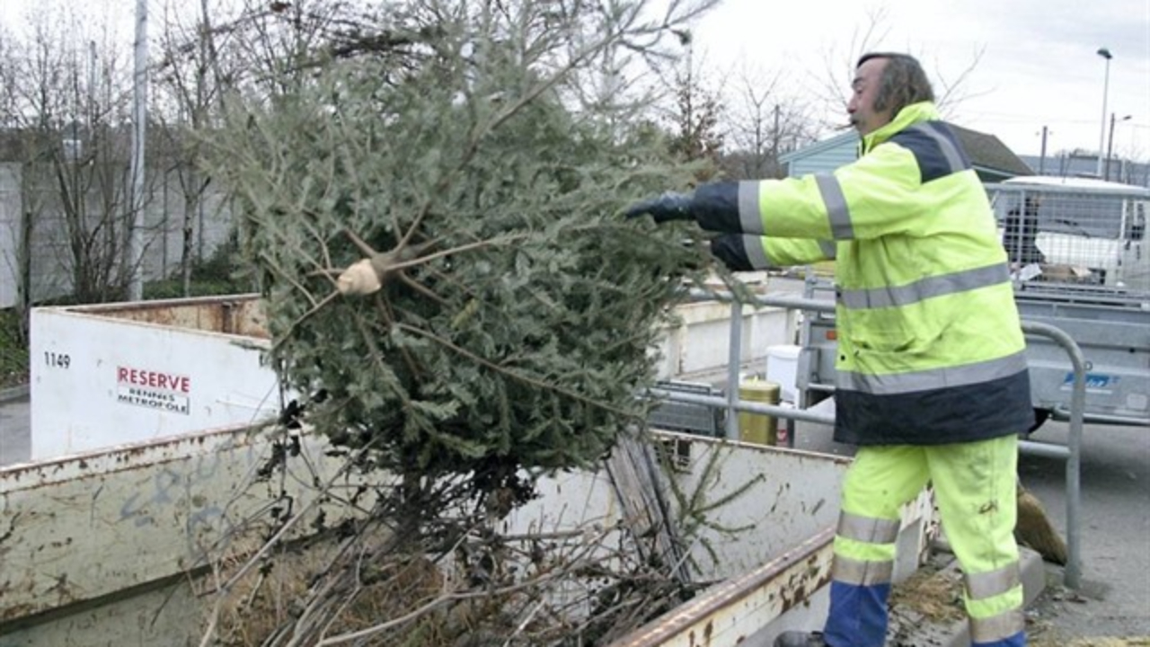 Les collectes de sapins se préparent en Savoie