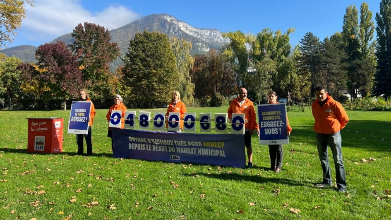 Annecy : L214 interpelle les candidats aux municipales sur le bien-&ecirc;tre animal
