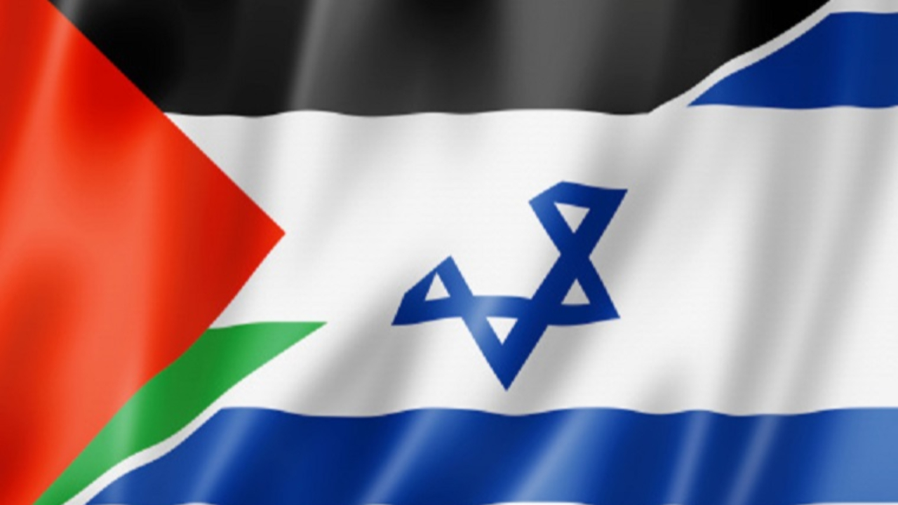 Attaque du Hamas: la réaction du collectif Solidarité palestine d'Annecy