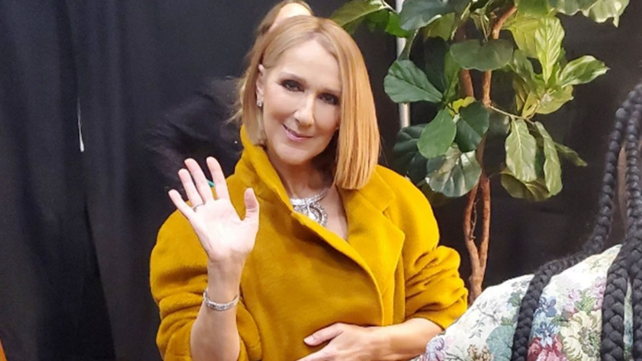 Céline Dion : découvrez la date de sortie de son documentaire