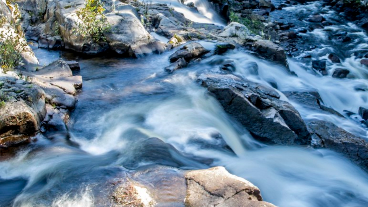 Chavanod : pollution dans un cours d'eau Chavanod : pollution dans un cours d'eau