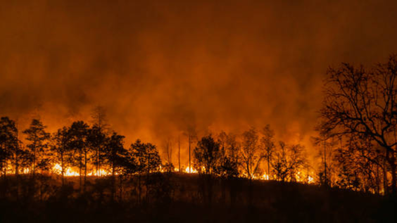 Cluses : Une association ouvre une cagnotte pour les incendies en Gironde Cluses : Une association ouvre une cagnotte pour les incendies en Gironde