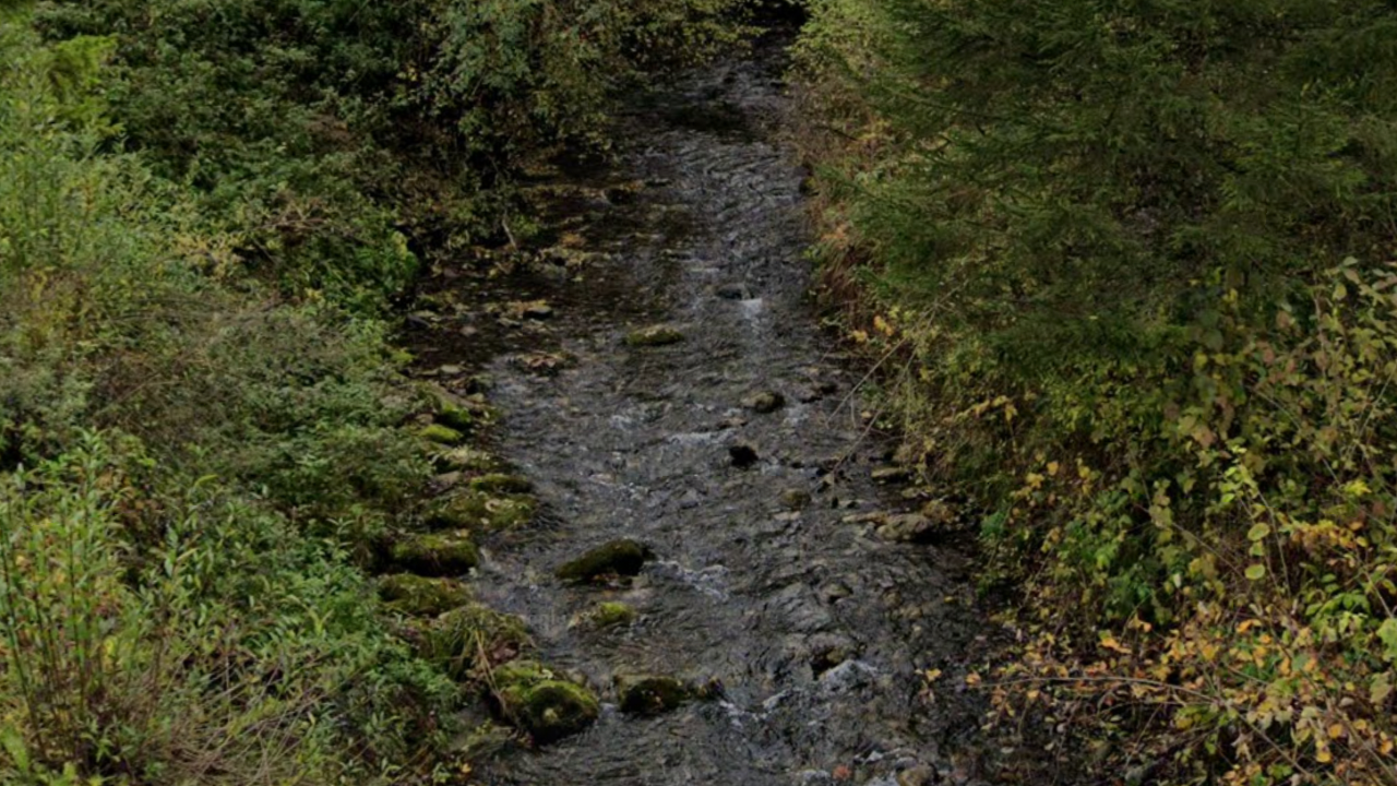 Corps d'une femme retrouvé dans un ruisseau à Faverges-Seythenex : le suspect reconnaît les faits