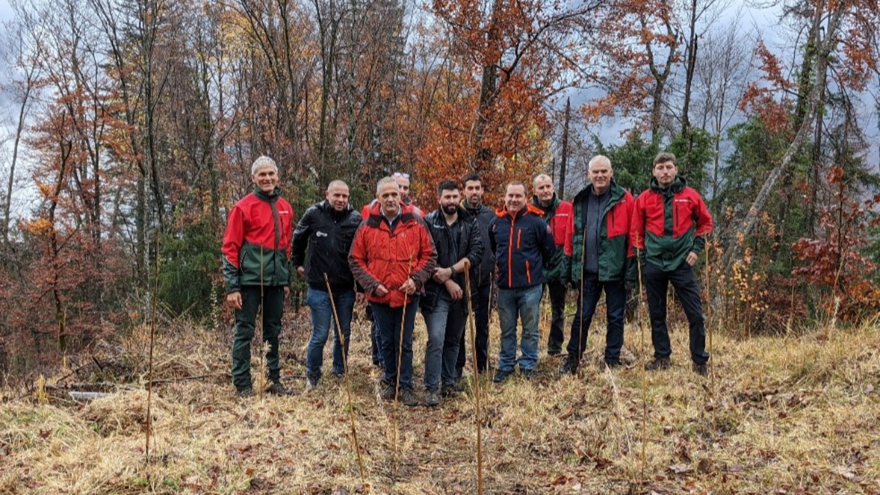 De nouveaux arbres pour la forêt publique de Sallanches