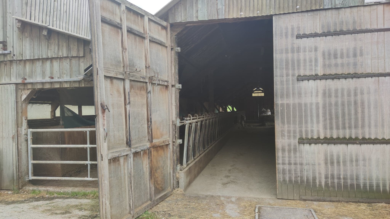 Dermatose nodulaire : L'Etat prêt à indemniser les éleveurs