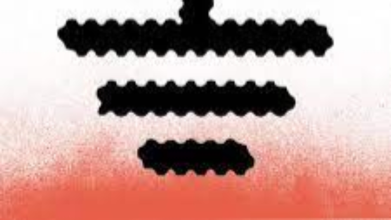 Dissolution du collectif "Les Soulèvements de la terre"