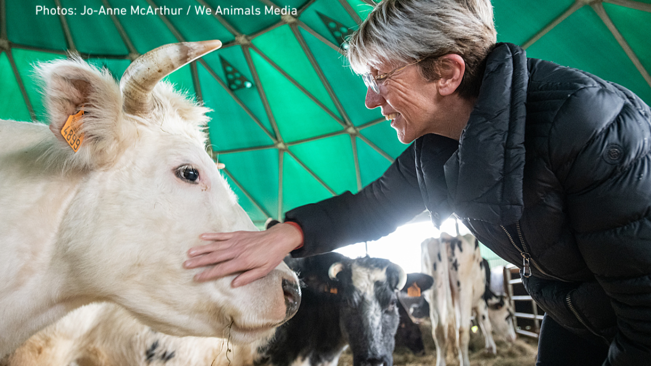 Européennes: une eurodéputée est à Annecy ce lundi Européennes: une eurodéputée est à Annecy ce lundi
