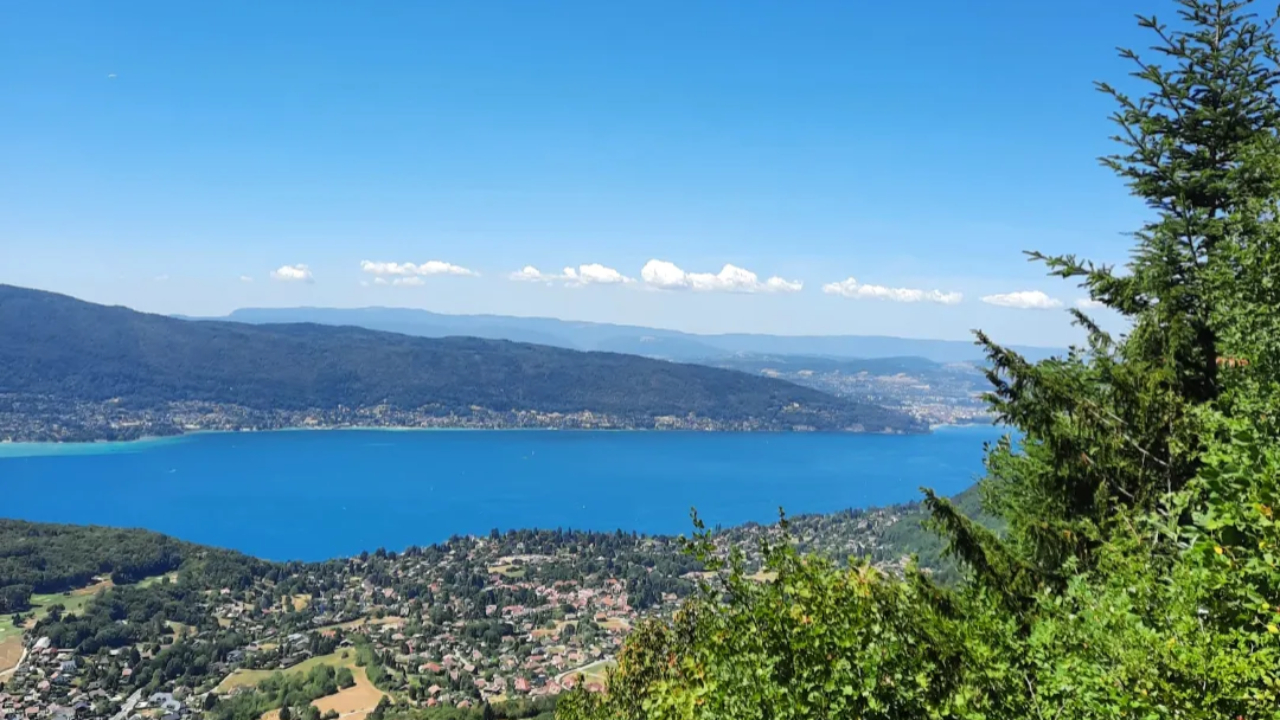 Grand Annecy : les associations environnementales tirent à nouveau la sonnette d’alarme Grand Annecy : les associations environnementales tirent à nouveau la sonnette d’alarme
