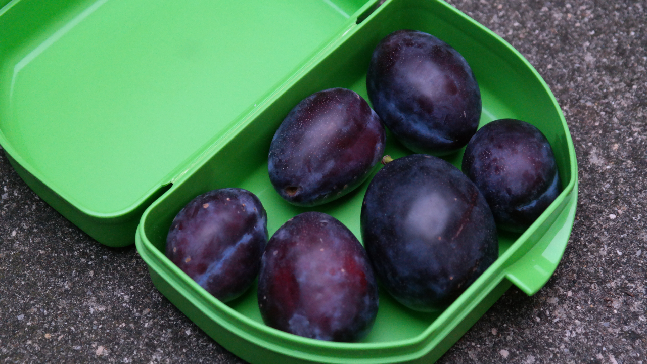 Grand Annecy : Une r&eacute;duction sur les repas via un contenant r&eacute;employable