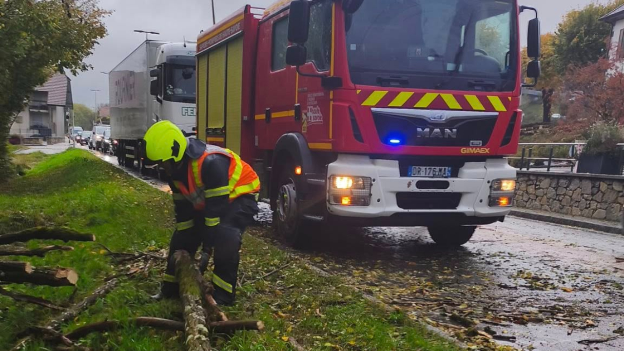 Haute-Savoie : 300 appels reçus par les pompiers à cause de chutes d'arbres Haute-Savoie : 300 appels reçus par les pompiers à cause de chutes d'arbres