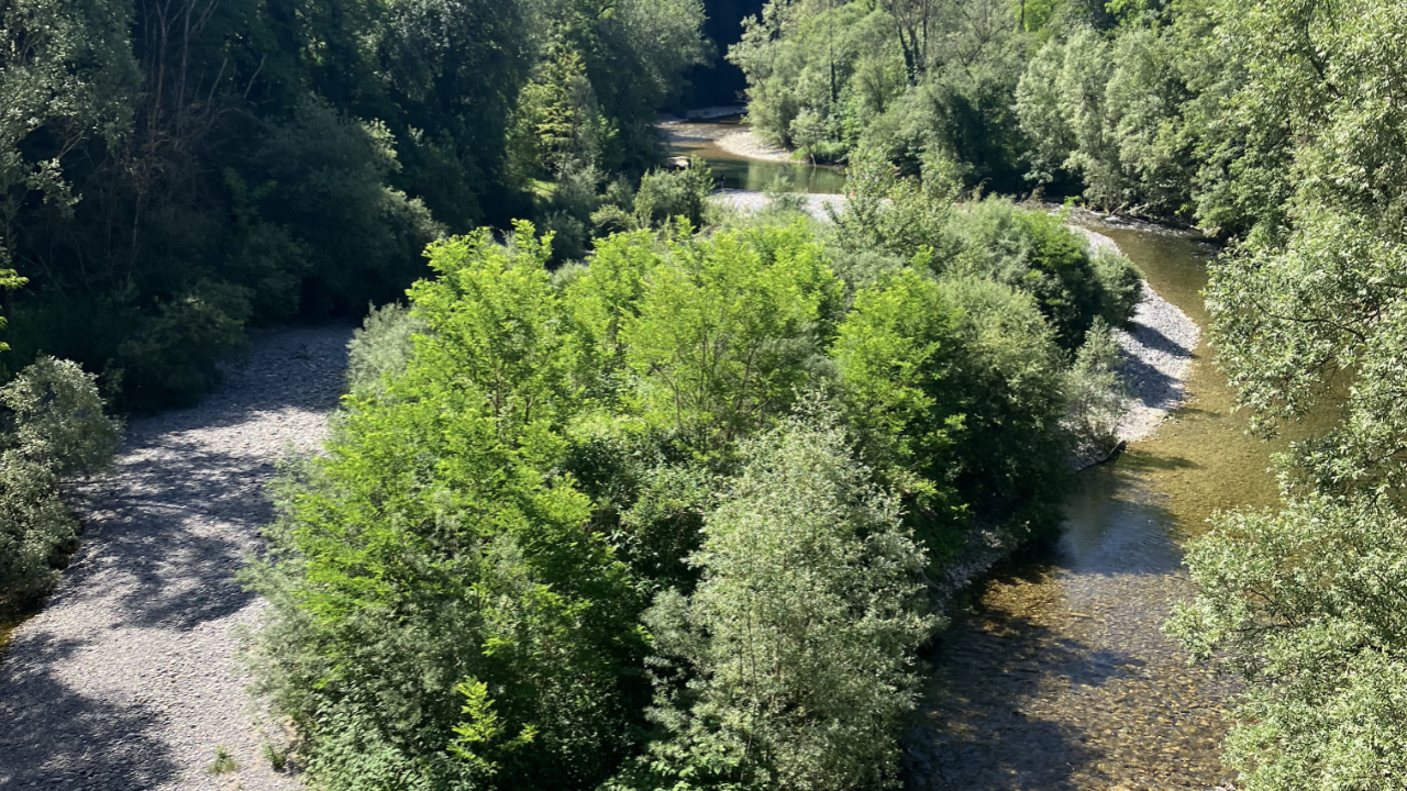 Haute-Savoie : le Ch&eacute;ran devrait &ecirc;tre interdit &agrave; la baignade d&egrave;s samedi