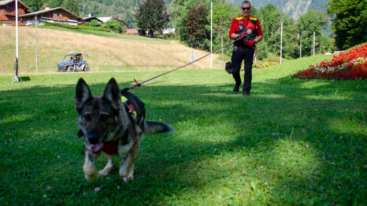 Haute-Savoie : Le SDIS annonce le décès de leur chienne de sauvetage, médaillée d'honneur en 2024
