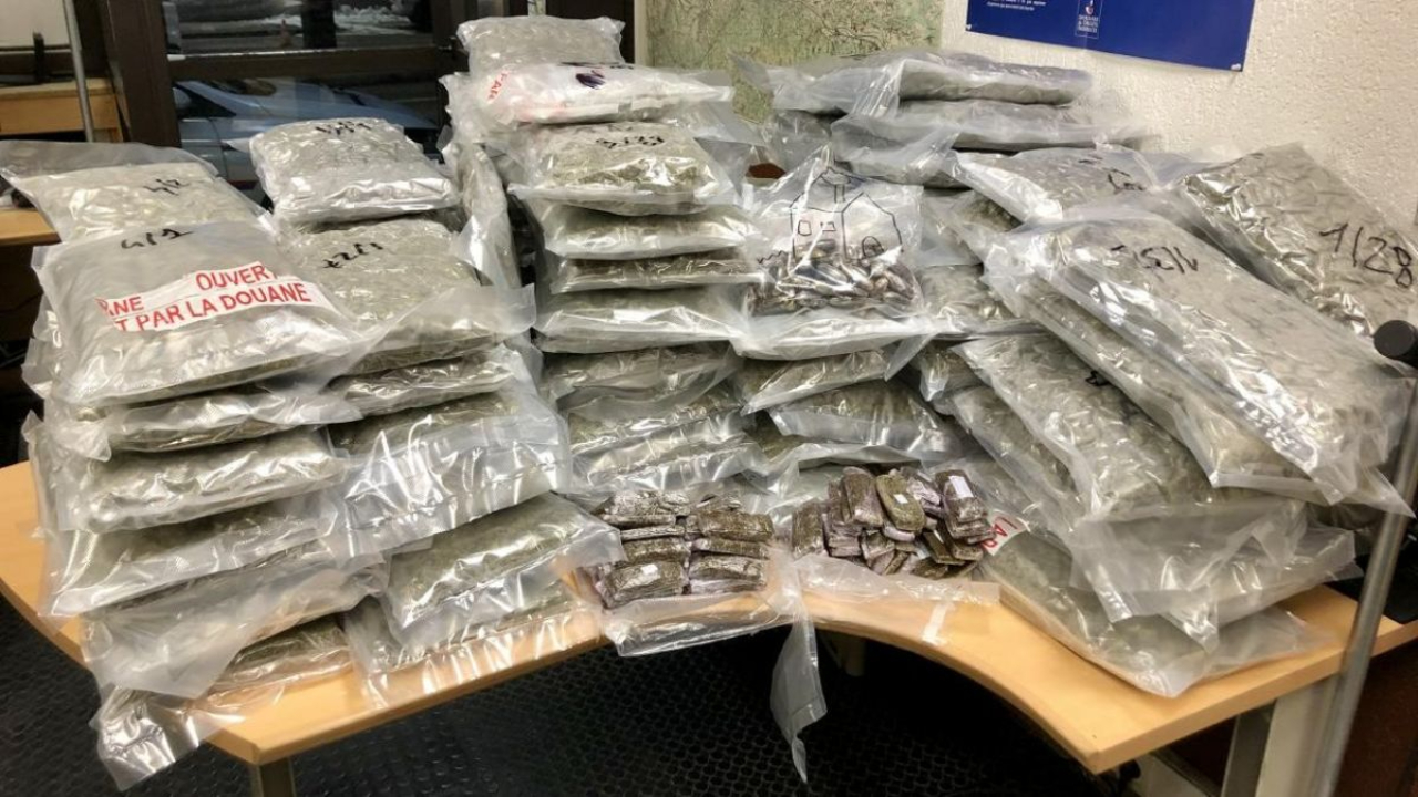 Haute-Savoie : Plus de 140 kilos de cannabis saisis en 2025