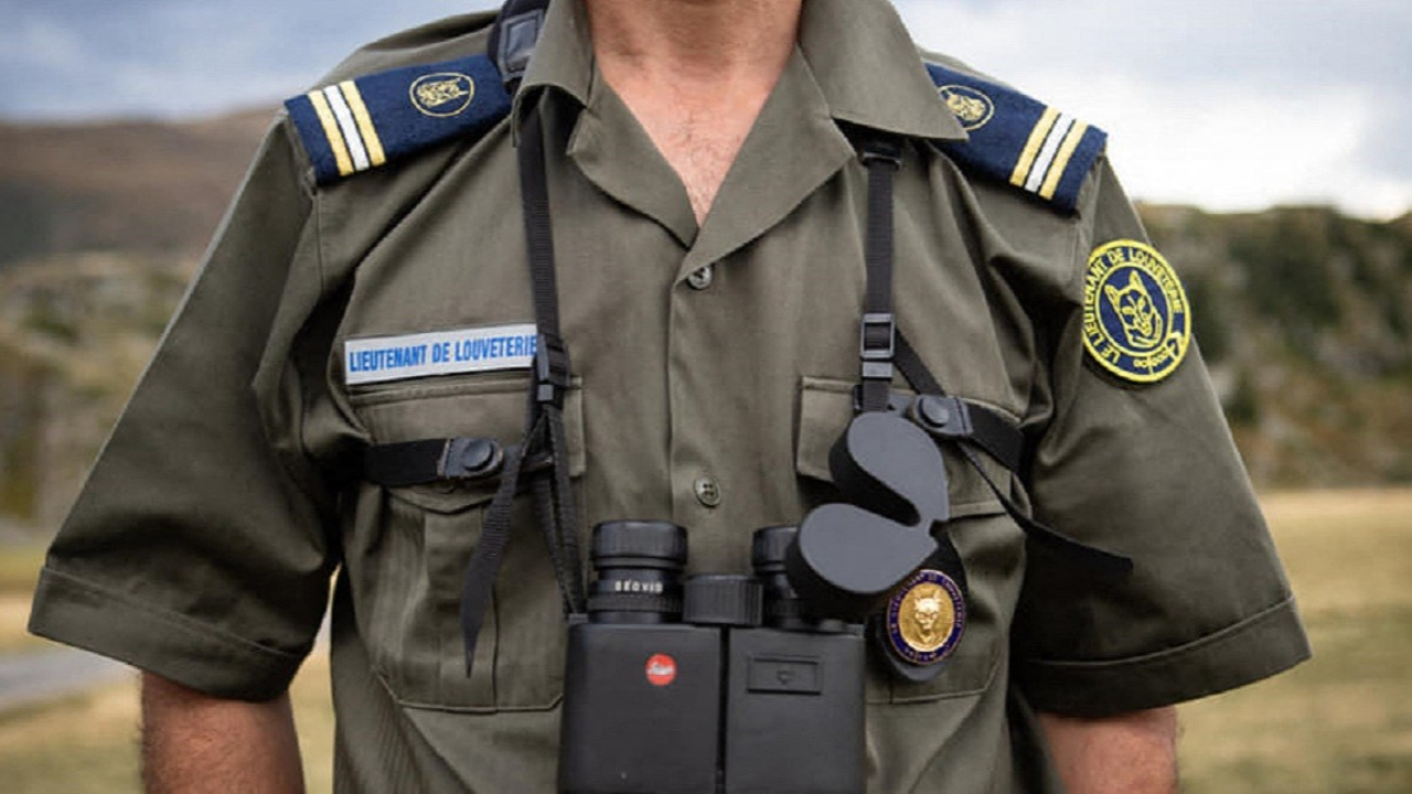 L’Ain recrute un lieutenant de louveterie