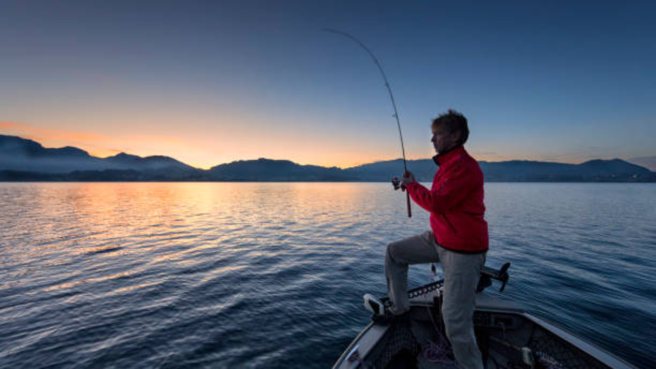 La pêche se porte bien dans le lac Léman La pêche se porte bien dans le lac Léman