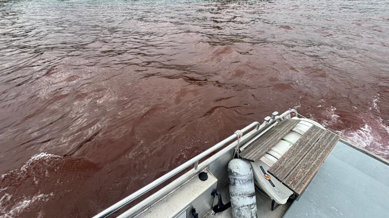 Lac L&eacute;man : 57 000 m&egrave;tres carr&eacute; d'encre rouge se d&eacute;versent dans l'eau