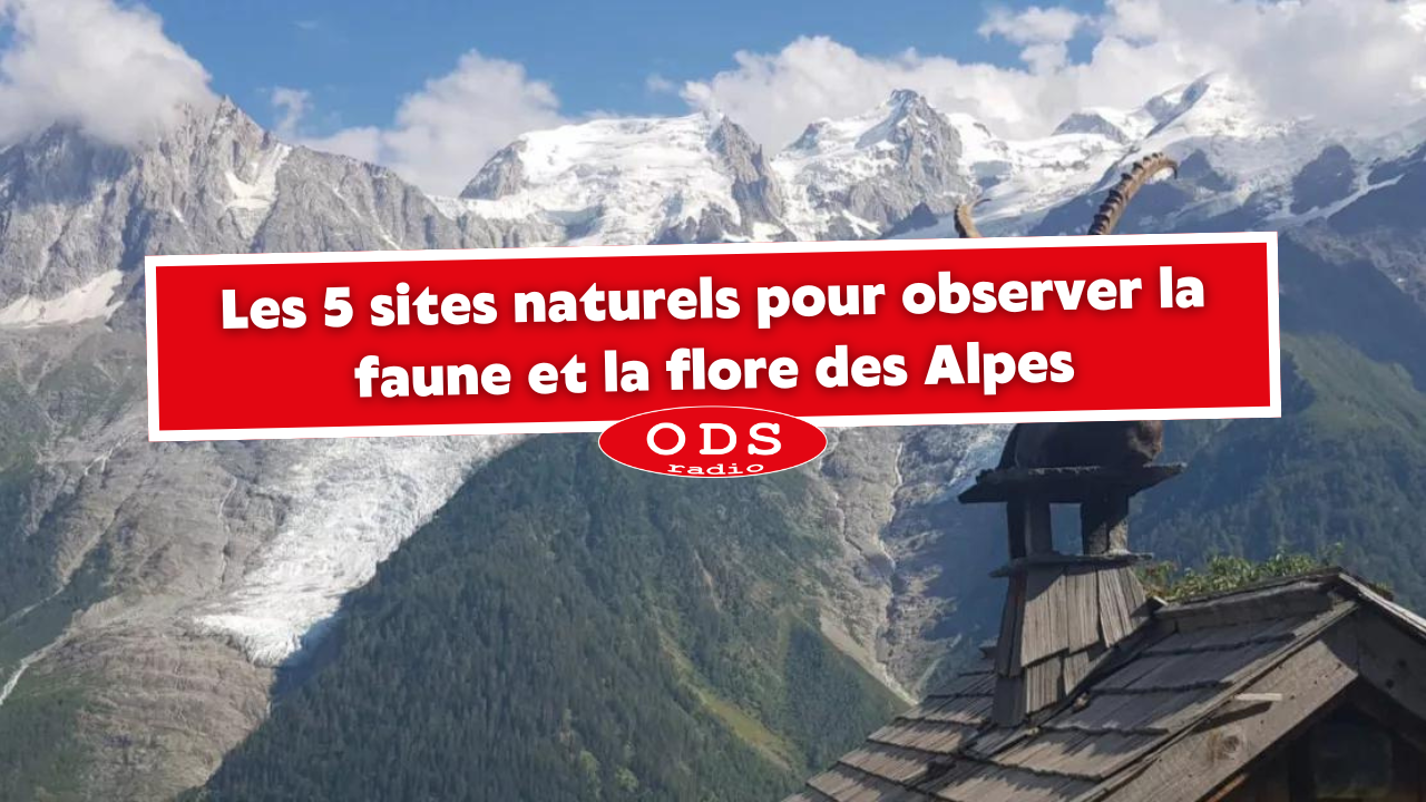 Les 5 sites naturels pour observer la faune et la flore des Alpes Les 5 sites naturels pour observer la faune et la flore des Alpes