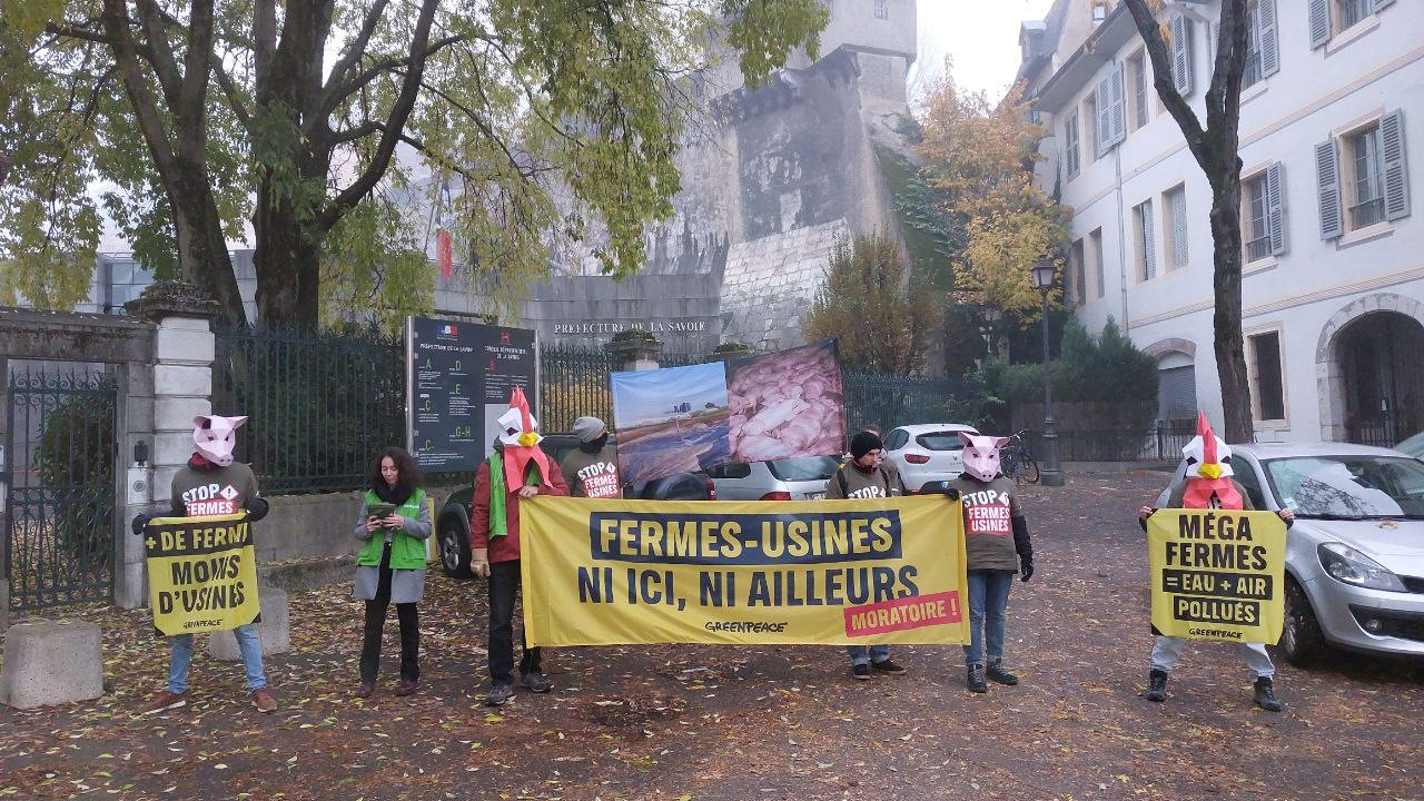 Les militants de Greenpeace mobilisés ce lundi à Chambéry. Les militants de Greenpeace mobilisés ce lundi à Chambéry.