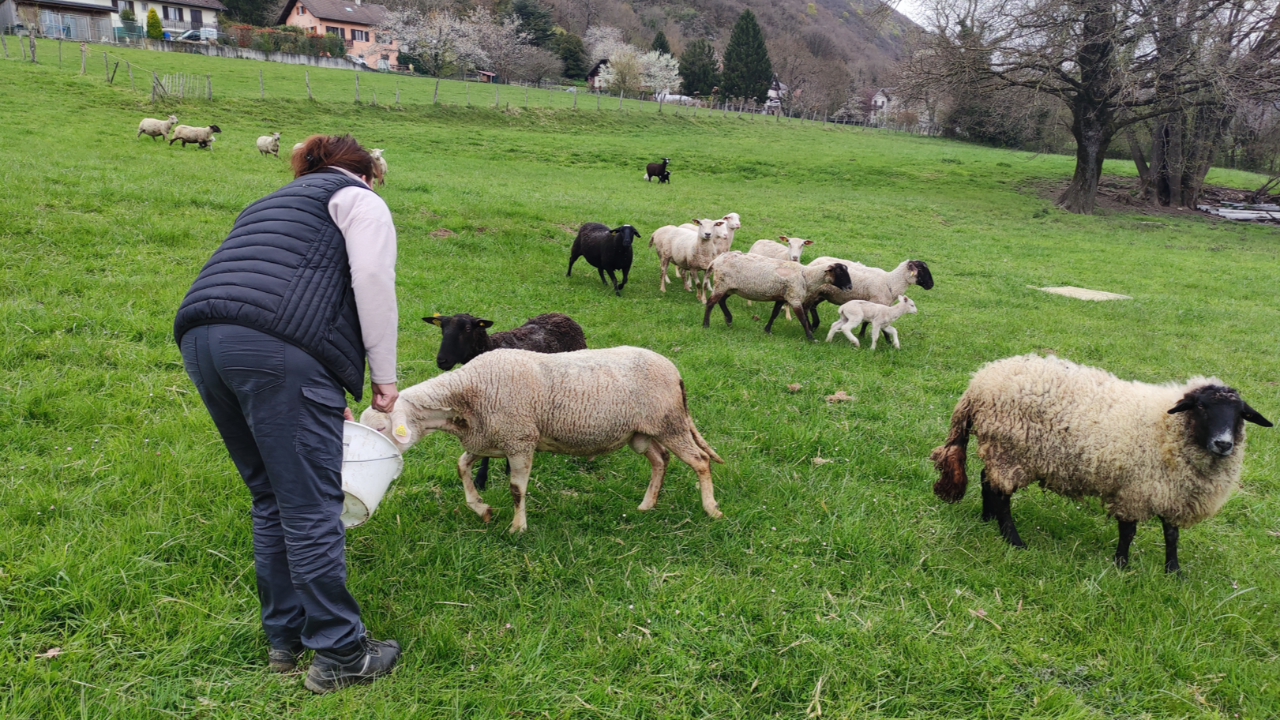 Lyon-Turin : "Ce trac&eacute; est inconcevable, le foncier agricole est notre outil de travail"