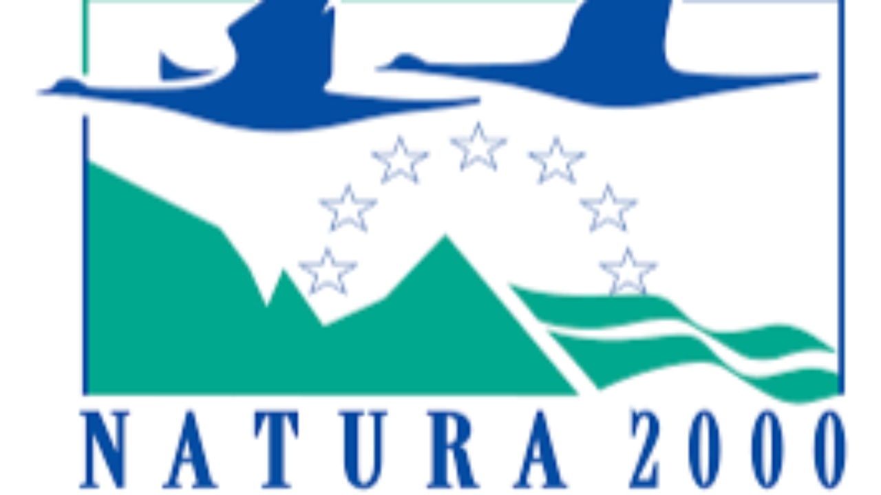 Mobilisation de militants écologistes hier devant le siège de la région à Lyon.