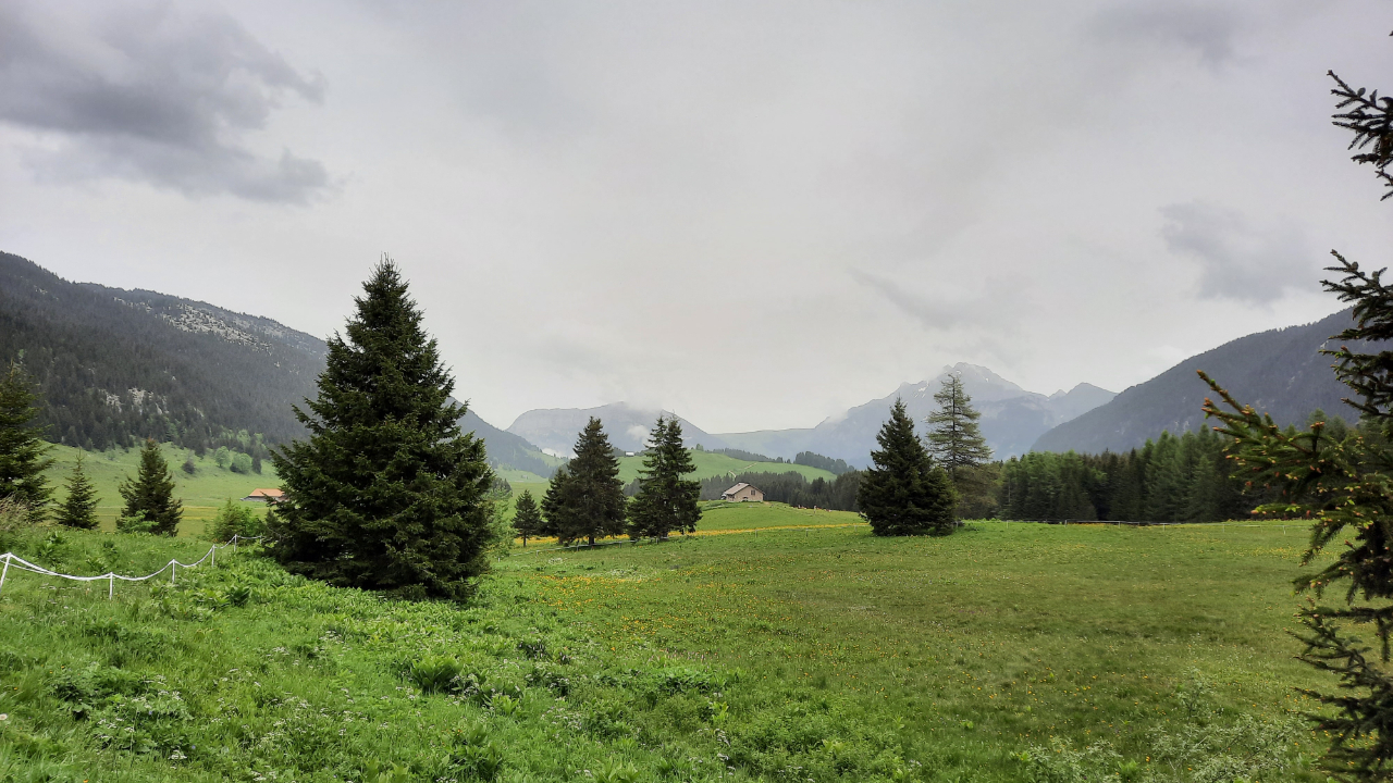 Plateau des Glières : la route réservée aux vélos mardi 26 août 2025