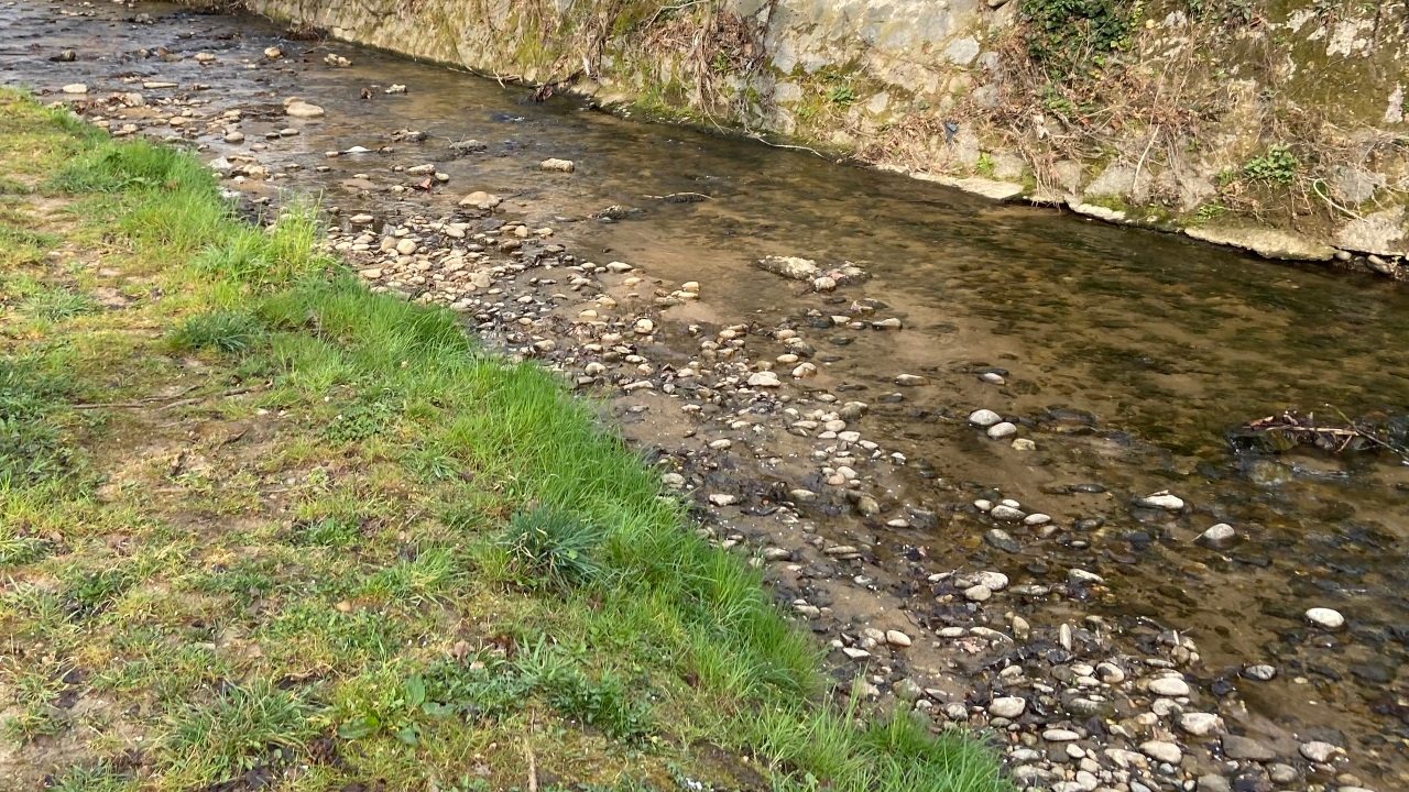 Pollution accidentelle à Chambéry : un ruisseau touché et de nombreux animaux retrouvés morts Pollution accidentelle à Chambéry : un ruisseau touché et de nombreux animaux retrouvés morts