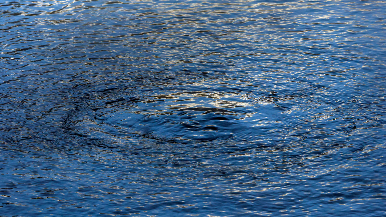 Pollution des eaux : "Les préfets de l'Ain et de Haute-Savoie doivent respecter les jugements" Pollution des eaux : "Les préfets de l'Ain et de Haute-Savoie doivent respecter les jugements"