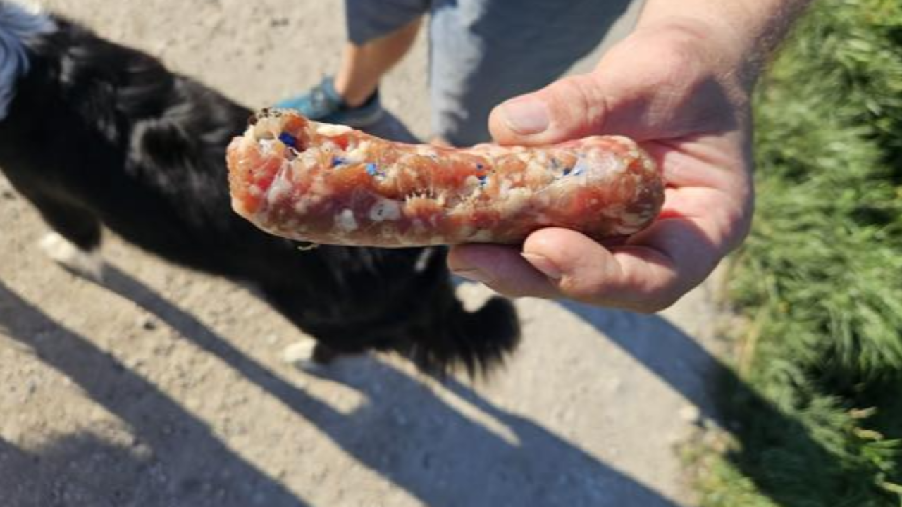 Près de Chambéry : Des saucisses retrouvées avec de la mort aux rats