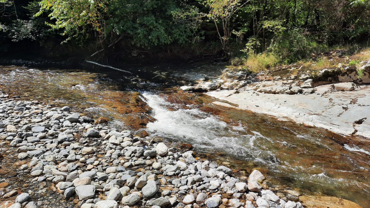 Rumilly : Baignade interdite dans le Chéran jusqu'à fin juillet