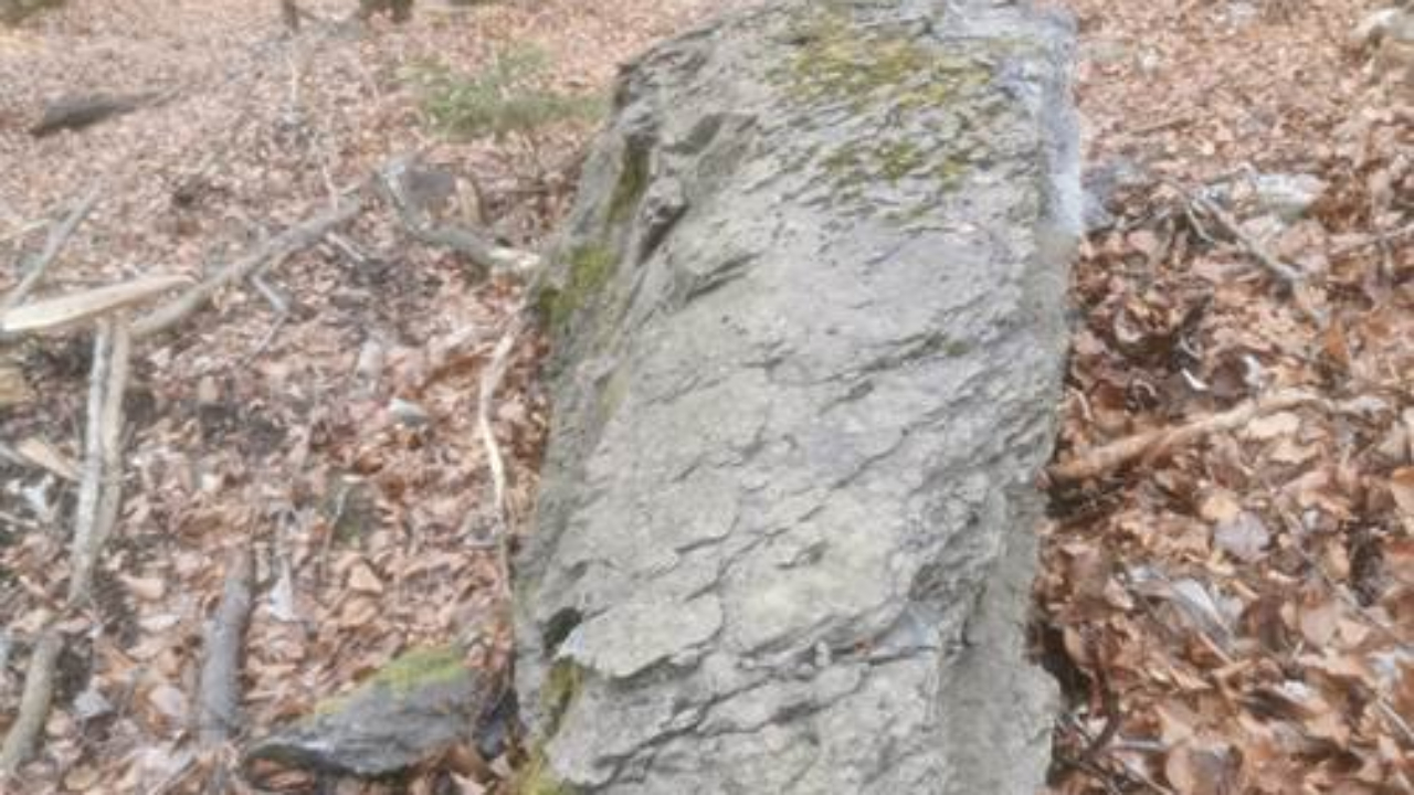 Sallanches : une opération de purge pour sécuriser une route Sallanches : une opération de purge pour sécuriser une route