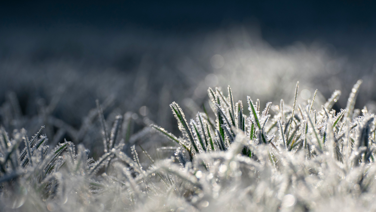 Savoie : Face au gel, les agriculteurs autoris&eacute;s au br&ucirc;lage