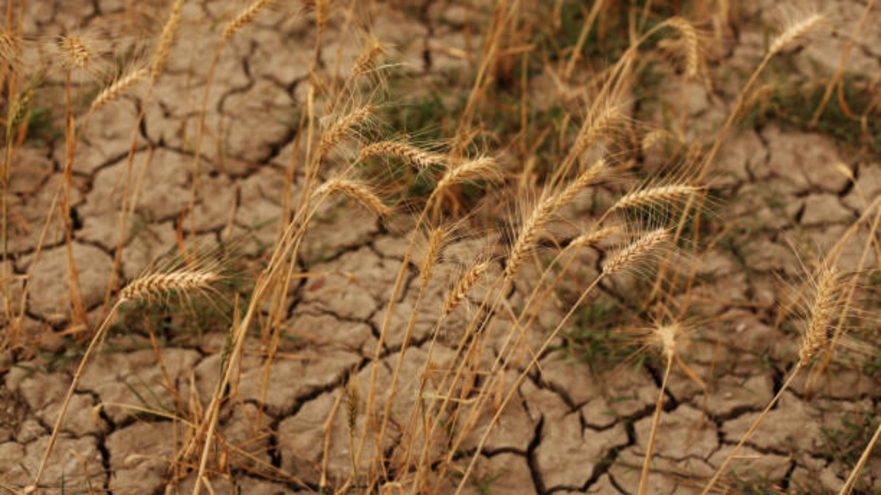 Savoie : La préfecture maintient les restrictions d'eau jusqu'au 30 octobre Savoie : La préfecture maintient les restrictions d'eau jusqu'au 30 octobre