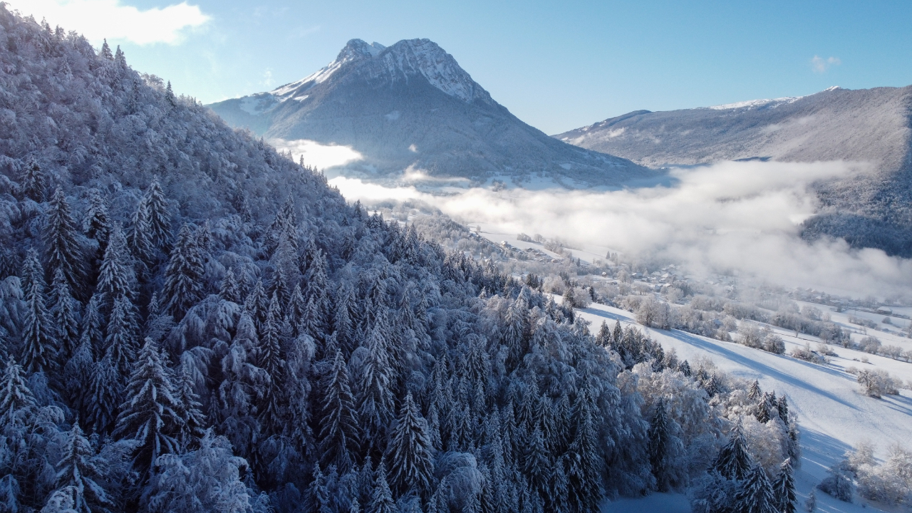 Savoie : Le patrimoine alimentaire alpin pourrait &ecirc;tre reconnu par l'UNESCO