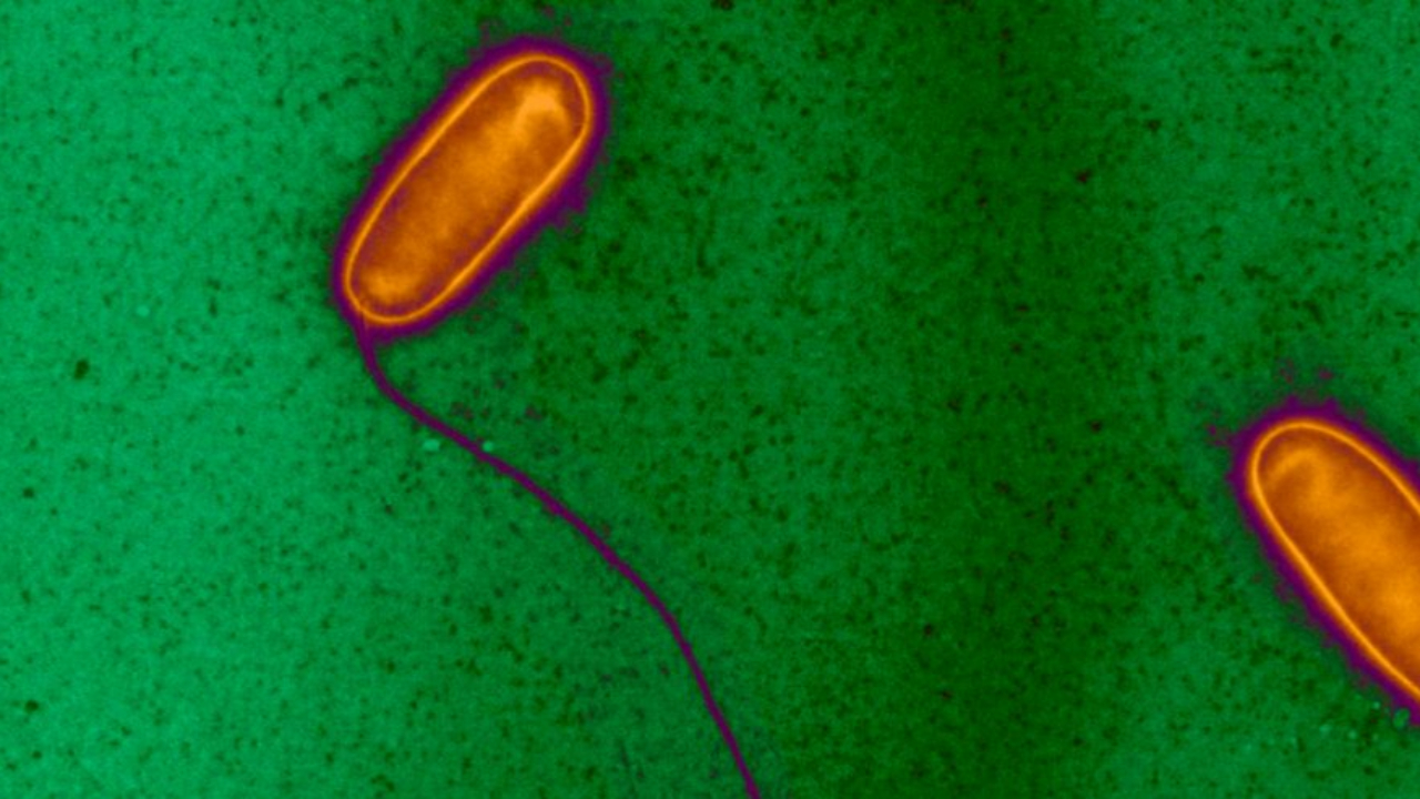 Savoie : le seuil de légionelles dépassé chez Framatome à Ugine
