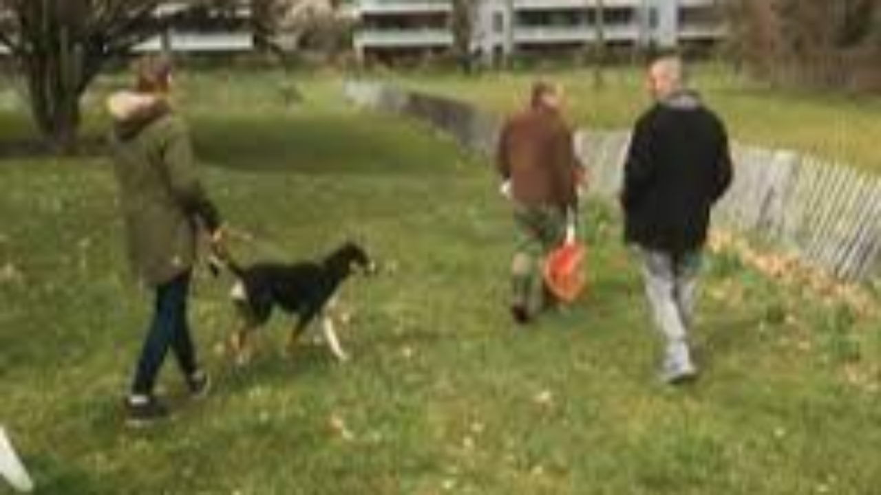 Un caniparc à Annecy Un caniparc à Annecy