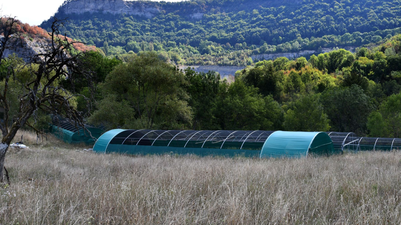 Un délai supplémentaire pour le Budget citoyen de la Savoie